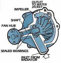 Water Pump Anatomy